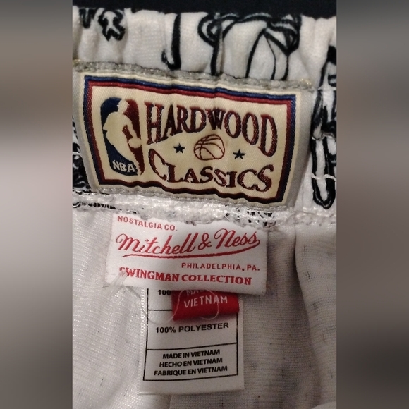 NEW Mitchell & Ness Vancouver Grizzlies Hardwood Classics Swingman Shorts size L - Picture 3 of 7